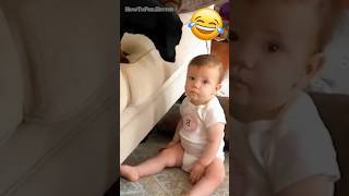 Dogs and babies funny moments😂😂😂 [upl. by Anicart589]