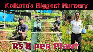 Kolkatas Biggest Wholesale Plant Nursery You will be Surprised to See the prices of the plants [upl. by Analrahc]