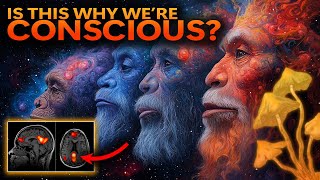 From Eden to Eleusis The Stoned Ape Theory in Light of New Evidence [upl. by Ricoriki190]