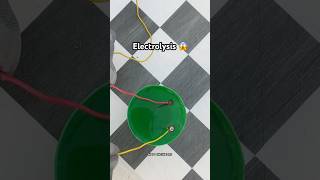 Electrolysis Reaction 😳 scinceexperiment educationalvideo experimentvideos [upl. by Merchant]