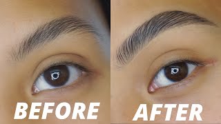 BUSHY SOAP BROW ROUTINE FOR SPARSE BROWS  2022 [upl. by Nylynnej92]