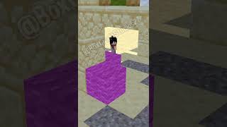 Hide N Seek The 4 Brothers Herobrine vs The 4 Sister Sadako funnyshorts minecraftshorts fyp [upl. by Happ]