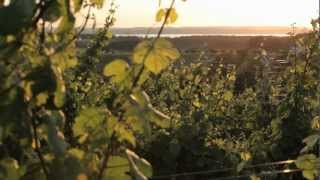 Wineries in Michigan  A Pure Michigan Summer [upl. by Howund]