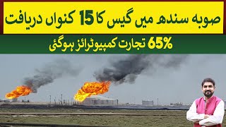 15th Gas well discovered in Sindh during 2024  Rich Pakistan [upl. by Cyrano]