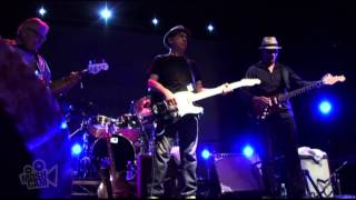 Los Lobos  I Got Loaded Live in Sydney  Moshcam [upl. by Laure]