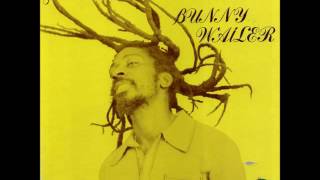 Bunny Wailer  Rock N Groove Full Album [upl. by Orelie]