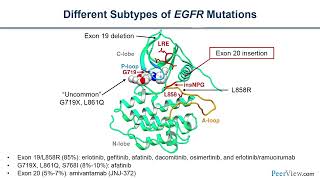 Testing for Common and Uncommon EGFR Mutations to Guide EGFRTargeted Therapy in NSCLC [upl. by Orutra894]