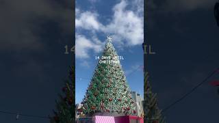 Christmas in Melbourne christmas shorts ytshorts ytshortsindia christmasshorts trending fyp [upl. by Ringsmuth]