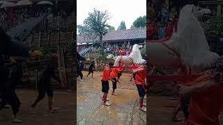 Kesenian Sunda Demonstrasi Rajawali dan Singa Depok shortvideo [upl. by Dianthe572]