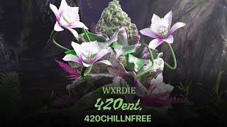 Beat Karaoke  Wxrdie  420ChillnFree ft QNT prod Wokeup amp 2pillz [upl. by Ynavoeg740]