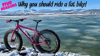 Five Reasons Why You Should Ride A Fat Bike  Top Five Reasons  fatbike [upl. by Onivag154]