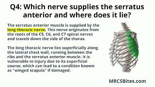 MRCS Part B Upper Limb Anatomy amp Pathology OSCE Station 1 [upl. by Frodin]