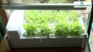 How to Plant Seeds with Hydrofarm Lights [upl. by Fante]