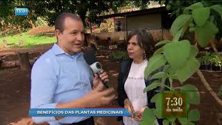 BG  Benefícios das plantas medicinais  05102017 [upl. by Dylana759]