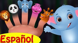 Familia Dedo Elefante Colección  Canciones infantiles en EspañolChuChu TV [upl. by Kowalski]