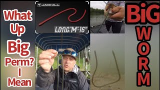 Wacky rig fishing the Jackall LongM 16” worm [upl. by Constantin]