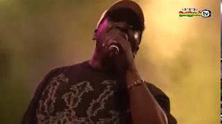 Barrington Levy  Live at Rototom Sunsplash 2012 Full Concert [upl. by Ellebanna]