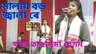 Malai Boro Jala reমালায় বড় জ্বালা রেTaslima Begum [upl. by Lacy]