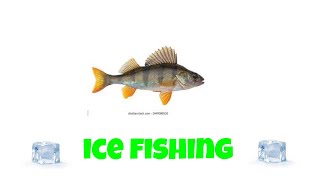 ICE FISHING AT LAKE SIMCOE [upl. by Lecirg]