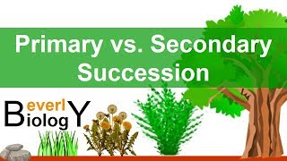 Primary vs Secondary Ecological Succession [upl. by Olney]