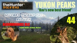 THE HUNTER Call Of The Wild  44  YUKON VALLEY Muskeg Swamp CARIBOU MOOSE amp BISON Drilling fun  2 [upl. by Humbert334]