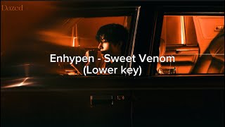 KARAOKE Sweet Venom  Enhypen Lower key  Dazed [upl. by Robin]