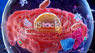 Lecture 1  What Are Mitochondria Biology Learning 3d Internal view of Cell [upl. by Arinaj]