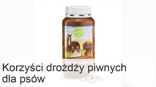 Korzyści z drożdży piwnych dla psów [upl. by Vudimir]