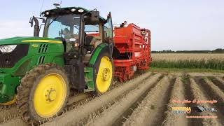 Aardappelrooien met Grimme DR 1500 Visbeek Marrum [upl. by Yeo]