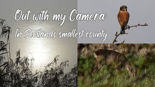 A misty mornings photography beside the river Devon Stonechats Deer Seals and more [upl. by Adnawahs]