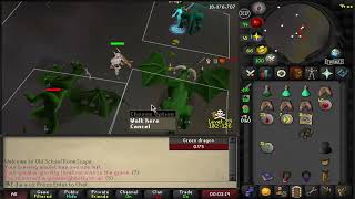 OSRS Lance  Thrall Green Dragons 300 boneshr [upl. by Sherilyn]