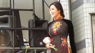 Vietnam Ao Dai Fashion Show in JapanさらりとSuper Modelが来ちゃうべトフェス  Vietnam Festival Tokyo2013 [upl. by Dayiz]