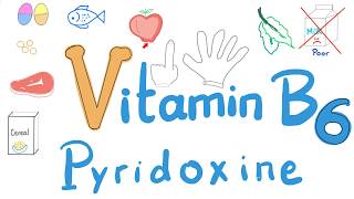 Vitamin B6 Pyridoxine  Diet and Nutrition Series [upl. by Notnert]