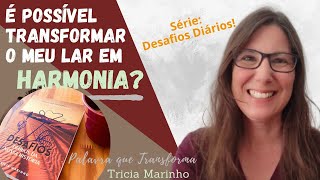 É POSSÍVEL TRANSFORMAR O MEU LAR EM HARMONIA  Série Desafios Diários da Nossa História [upl. by Nylareg]