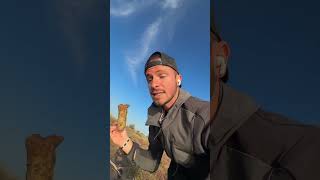 Je trouve de la peau de girafe 😰 nature vlog humour exploration wild wildlife [upl. by Sekoorb]