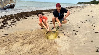 PROCURANDO TESOURO PERDIDOS na PRAIA com DETECTOR DE METAIS [upl. by Ahsieyt489]