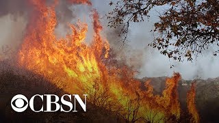 California wildfires driven by weather and climate conditions [upl. by Suiradal]