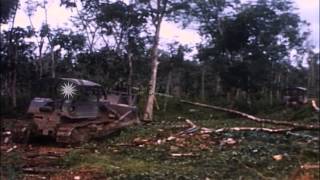 Bulldozers and Rome plows clear the vegetation in Hon Don Forest in Bein Hoa SouHD Stock Footage [upl. by Nnairrehs]