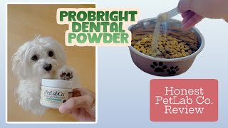 I tried ProBright Dental Powder for Bad Dog Breath  Honest Pet Lab Co Review [upl. by Merissa]