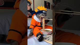 Naruto Cat eating ramen 🍜 🙀💀  Huh [upl. by Erek]