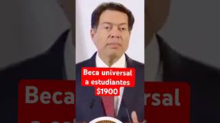 NUEVO TITULAR DE SEP EXPLICA BECA A ESTUDIANTES maestros beca sep [upl. by Neltiac]