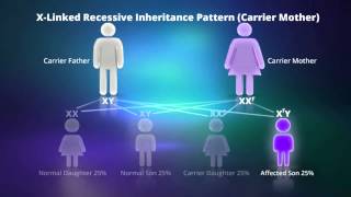 What is Xlinked Recessive Inheritance [upl. by Katrinka]