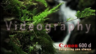 Video test canon 600d outdoor  No Edit [upl. by Jacklin987]