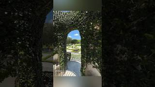 Vizcaya Museum Miami tours travel usa relaxing youtubeshorts shortvideo shorts nature live [upl. by Lyrac166]