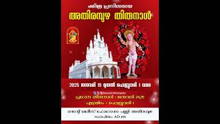 Athirampuzha Thirunnal 2025 Promo video [upl. by Bega632]