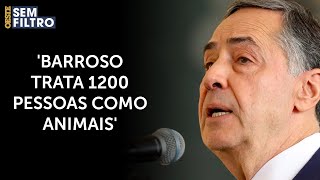 Barroso diz que é um quotmitoquot a inocência dos acusados do 81 [upl. by Gabey]