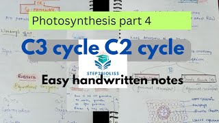 Photosynthesis part 4l C3cycle C4 cycle l with easy handwritten notes l neet Shwetayadav6119 [upl. by Ansela]