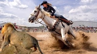 7 Raças De Cavalos Mais Selvagens Do Mundo [upl. by Valtin]