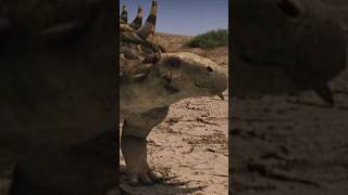 Gastonia vs Huayangossauro dinosaur shorts animals explore curiosidades [upl. by Annasoh143]