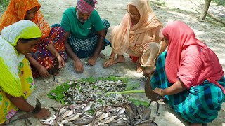 Sidol Recipe How to Make Sidol Shutki Traditional Sidol Making Authentic System az SIDOL FISH CURRY [upl. by Rollin]